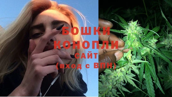 а пвп мука Бородино