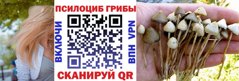 продажа наркотиков  Волчанск  Псилоцибиновые грибы GOLDEN TEACHER 